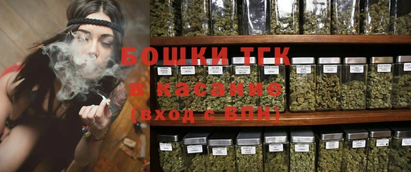 ГАЛЛЮЦИНОГЕННЫЕ ГРИБЫ Алзамай