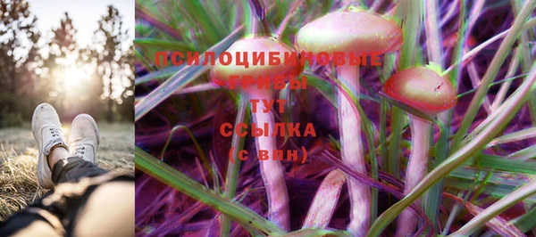 прущий лед Алексин