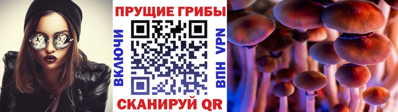 Псилоцибиновые грибы мухоморы Новочеркасск