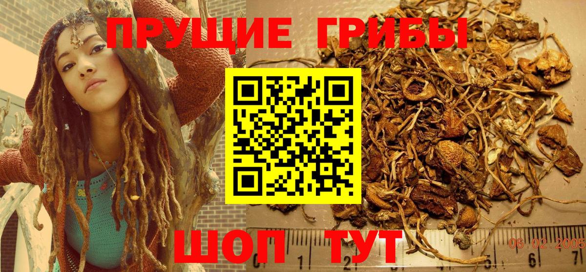 Псилоцибиновые грибы мицелий Новочеркасск