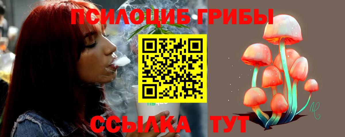 Галлюциногенные грибы Cubensis  Псилоцибиновые грибы Psilocybine cubensis  Новочеркасск  Вход с VPN 